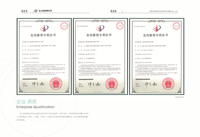 重慶石榴视频APP下载資質榮譽